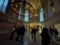 IMG_5593